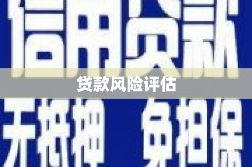 叙永贷款风险评估