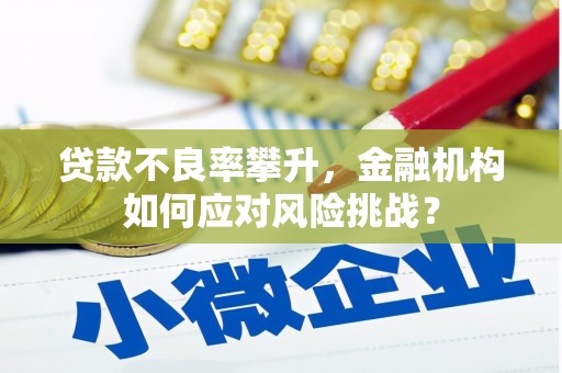 叙永贷款不良率攀升，金融机构如何应对风险挑战？