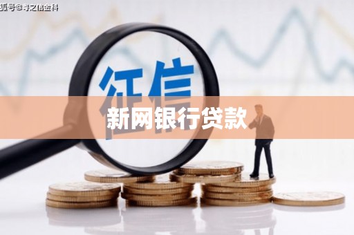 叙永新网银行贷款