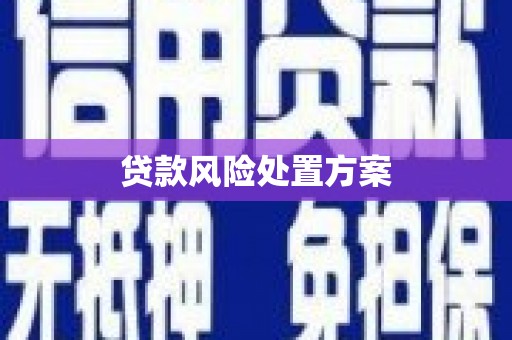 叙永贷款风险处置方案