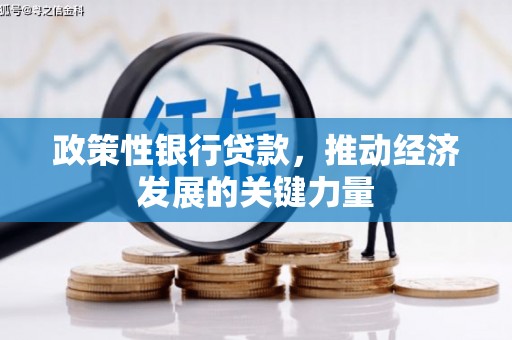 叙永政策性银行贷款，推动经济发展的关键力量