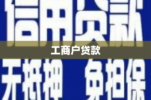 叙永工商户贷款