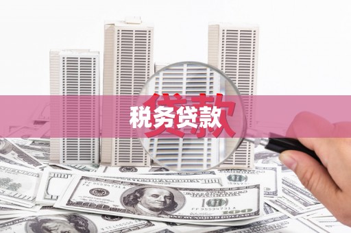 叙永税务贷款