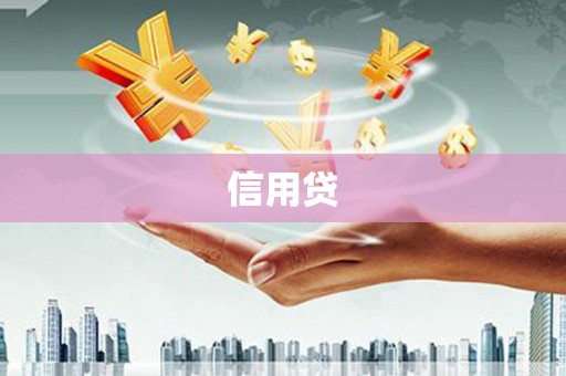 叙永信用贷