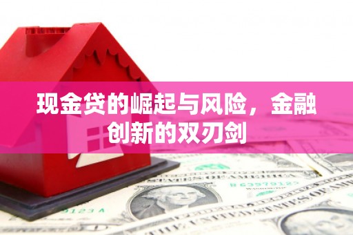 叙永现金贷的崛起与风险，金融创新的双刃剑