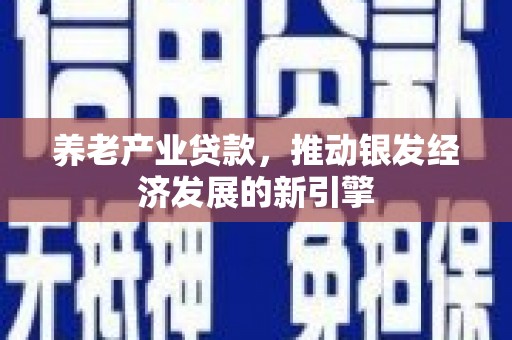 叙永养老产业贷款，推动银发经济发展的新引擎