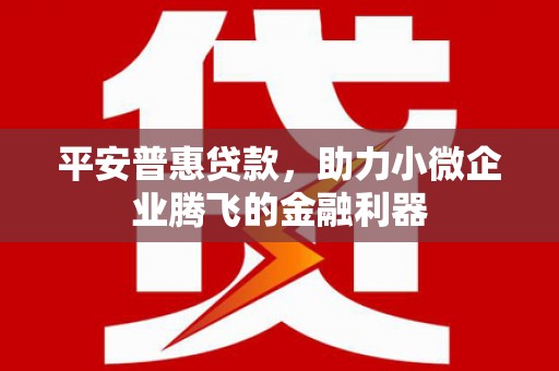 叙永平安普惠贷款，助力小微企业腾飞的金融利器
