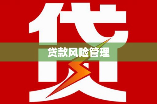 叙永贷款风险管理