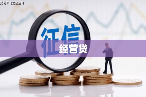 叙永经营贷