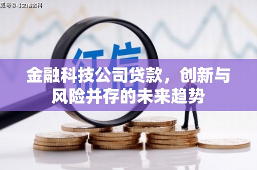 叙永金融科技公司贷款，创新与风险并存的未来趋势