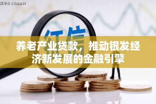 叙永养老产业贷款，推动银发经济新发展的金融引擎