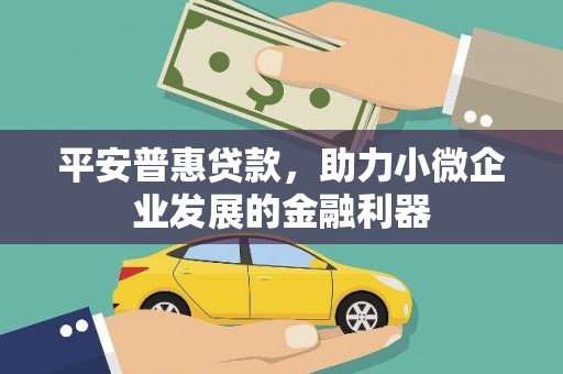 叙永平安普惠贷款，助力小微企业发展的金融利器