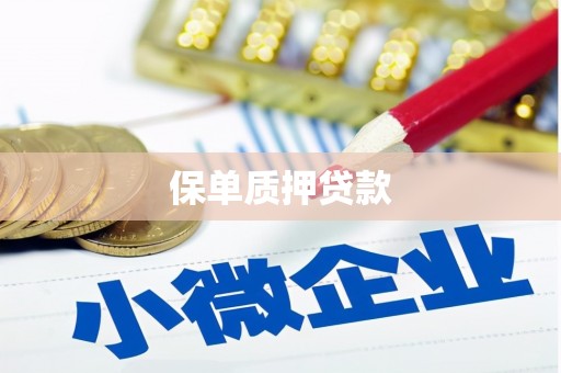 叙永保单质押贷款