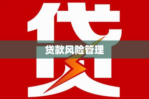 叙永贷款风险管理