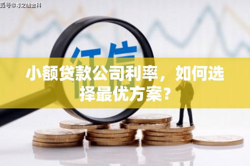 叙永小额贷款公司利率，如何选择最优方案？