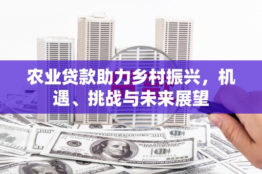 叙永农业贷款助力乡村振兴，机遇、挑战与未来展望