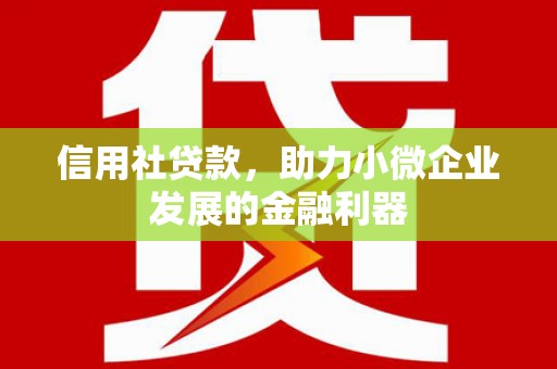 叙永信用社贷款，助力小微企业发展的金融利器