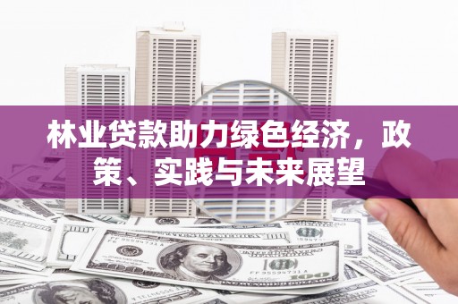 叙永林业贷款助力绿色经济，政策、实践与未来展望