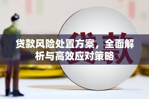 叙永贷款风险处置方案，全面解析与高效应对策略