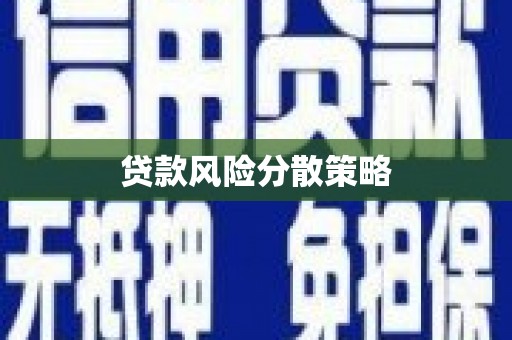 叙永贷款风险分散策略