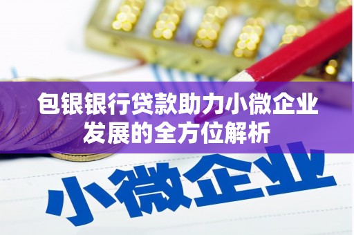 叙永包银银行贷款助力小微企业发展的全方位解析