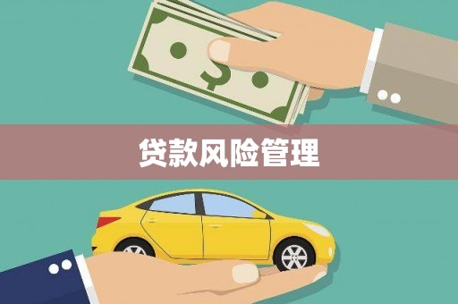 叙永贷款风险管理