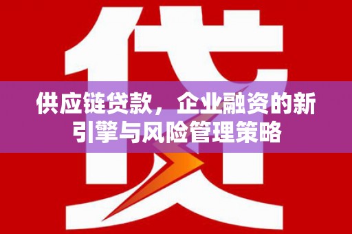 叙永供应链贷款，企业融资的新引擎与风险管理策略
