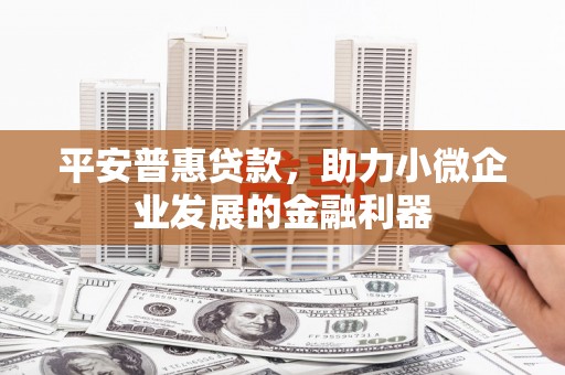 叙永平安普惠贷款，助力小微企业发展的金融利器