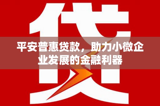 叙永平安普惠贷款，助力小微企业发展的金融利器