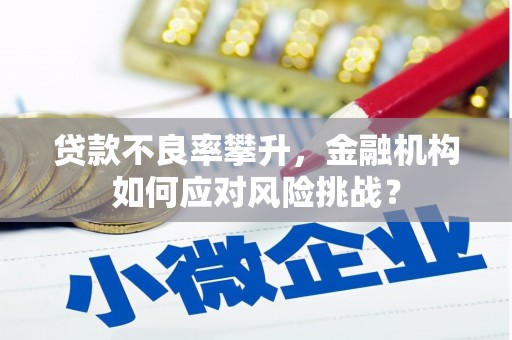 叙永贷款不良率攀升，金融机构如何应对风险挑战？