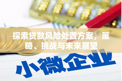 叙永探索贷款风险处置方案，策略、挑战与未来展望