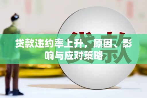 叙永贷款违约率上升，原因、影响与应对策略