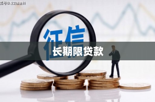 叙永长期限贷款