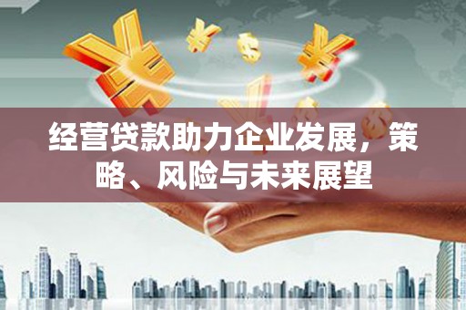 叙永经营贷款助力企业发展，策略、风险与未来展望