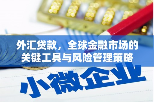 叙永外汇贷款，全球金融市场的关键工具与风险管理策略