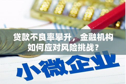 叙永贷款不良率攀升，金融机构如何应对风险挑战？