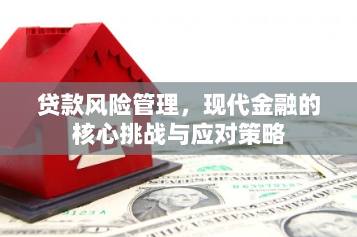 叙永贷款风险管理，现代金融的核心挑战与应对策略