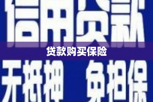 叙永贷款购买保险