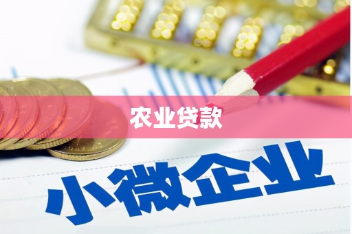 叙永农业贷款