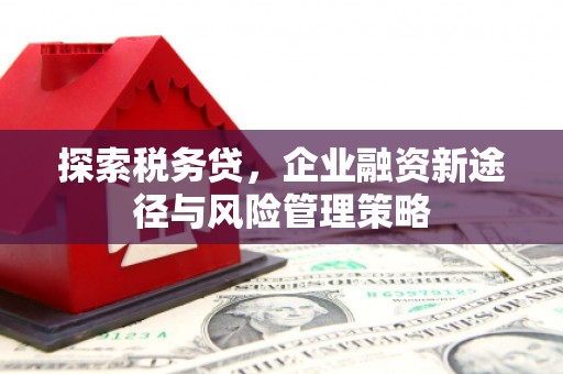 叙永探索税务贷，企业融资新途径与风险管理策略
