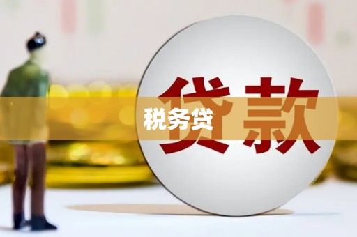 叙永税务贷