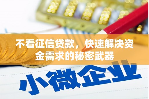 叙永不看征信贷款，快速解决资金需求的秘密武器