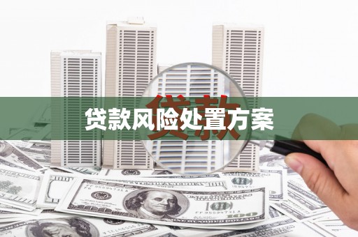 叙永贷款风险处置方案