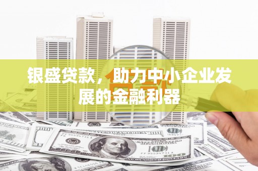 叙永银盛贷款，助力中小企业发展的金融利器