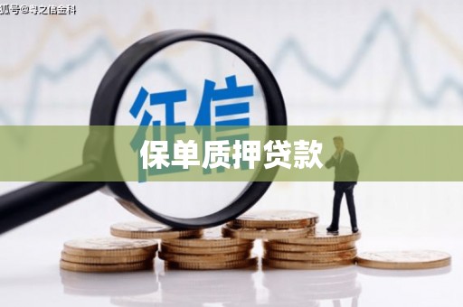 叙永保单质押贷款