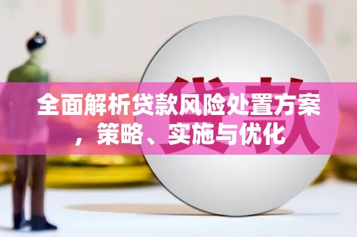 叙永全面解析贷款风险处置方案，策略、实施与优化