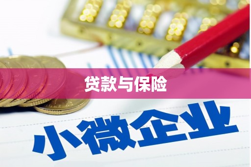 叙永贷款与保险