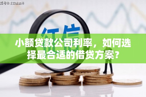 叙永小额贷款公司利率，如何选择最合适的借贷方案？
