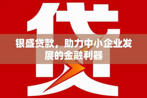 叙永银盛贷款，助力中小企业发展的金融利器