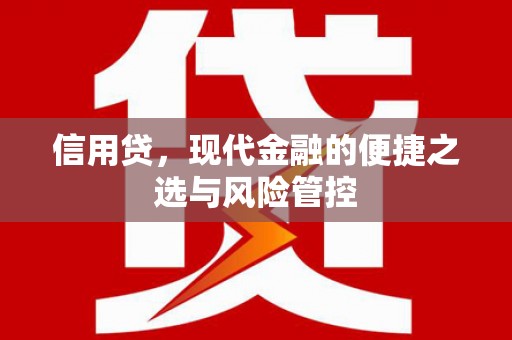 叙永信用贷，现代金融的便捷之选与风险管控